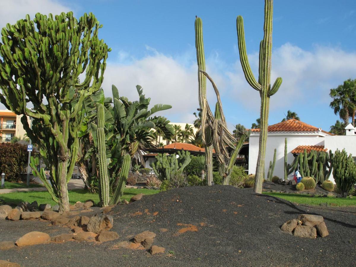 Apartmán Bahia Sol Caleta De Fuste Exteriér fotografie